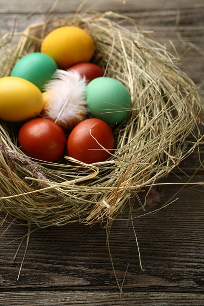 Яйца пасхального цвета — стоковое фото