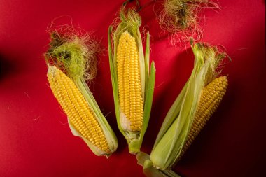 Taze mısır koçanı yukarıdaki