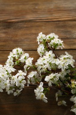 Bahar dal ahşap üzerine