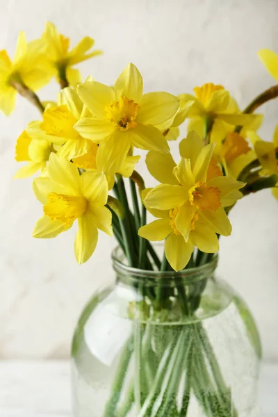 Narciso giallo primaverile, narciso — Foto Stock