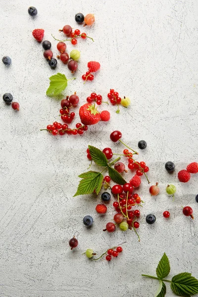 Frische Beeren auf weißem Hintergrund — Stockfoto