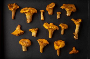 Taze chanterelles siyah 