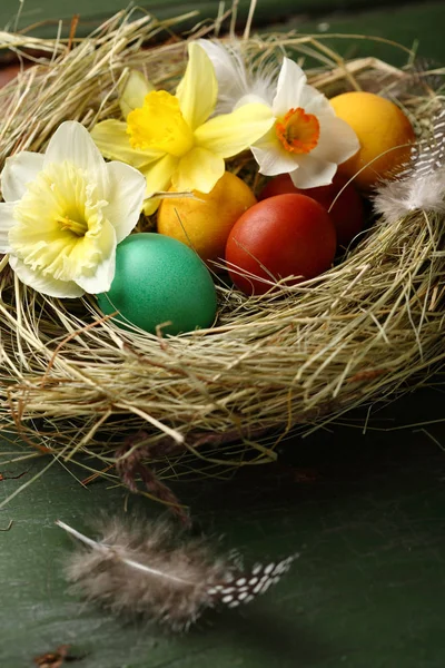 カラフルな卵と緑のハッピーイースターの巣 — ストック写真