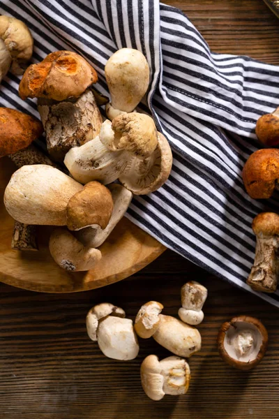 Set of wild edible mushrooms — Stock Photo, Image