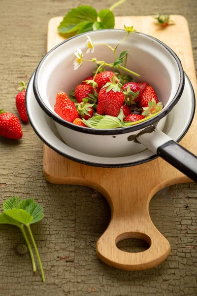 Récolte de fraises biologiques en passoire, nourriture ci-dessus — Photo
