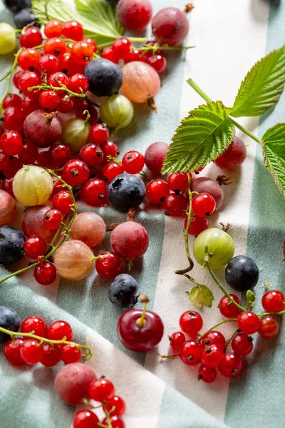 Rote Sommerbeeren oben — Stockfoto