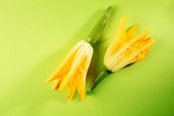Zwei Zucchini-Blüten — Stockfoto
