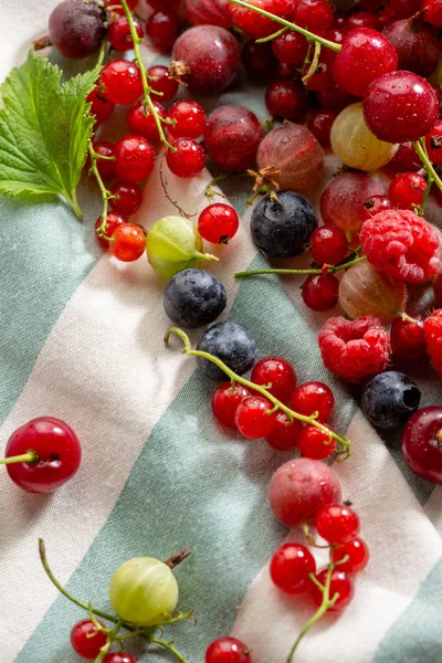 Свежие летние ягоды, местная еда — стоковое фото