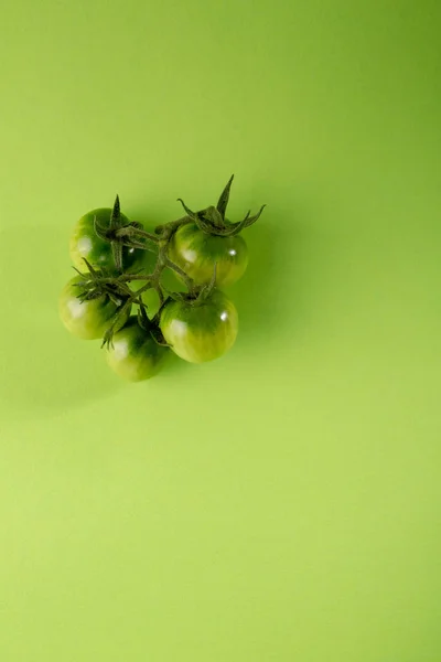 녹색, 개념 식품에 녹색 토마토 — 스톡 사진