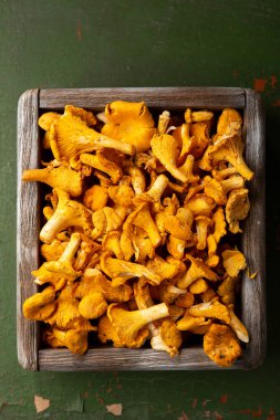 Taze chanterelles içinde krater
