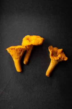 Siyah arka planda orman mantarı, sonbahar