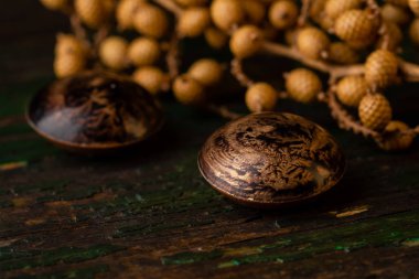 Doğal arka planda modern bonbon