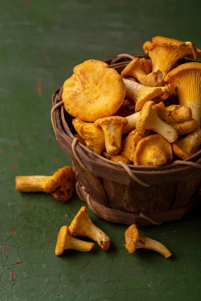 Fresh chanterelles in basket — Stock Photo, Image