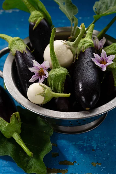 Ruwe zwarte en witte aubergines — Stockfoto