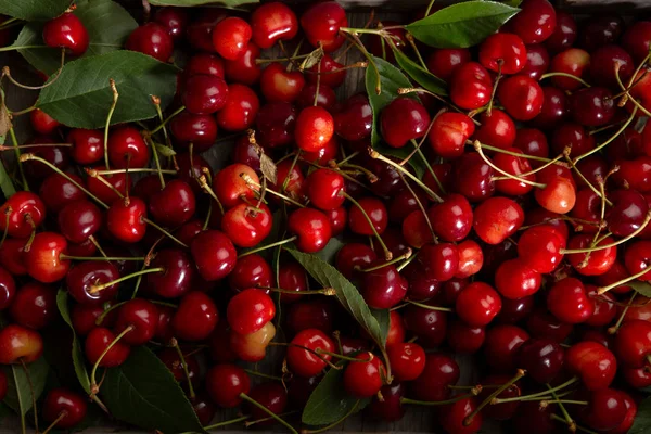 Fresh summer cherry from above — Stock Photo, Image