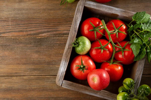 Fresh ripe tomatoes top view — Stock Photo, Image