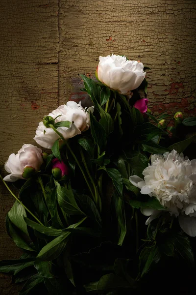 Blüten der weißen und rosa Pfingstrose oben — Stockfoto