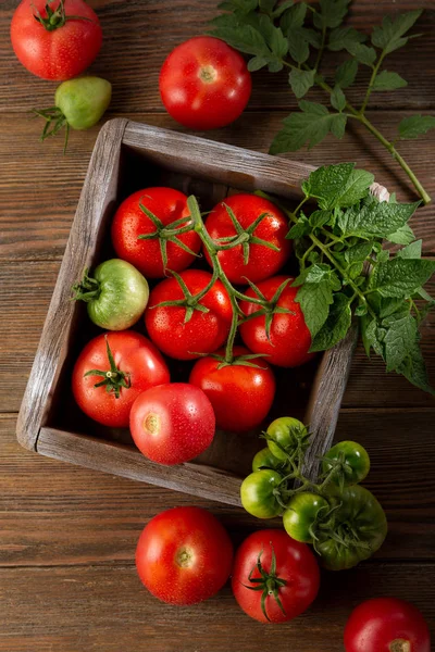 Tomates vermelhos frescos em caixa de madeira — Fotografia de Stock