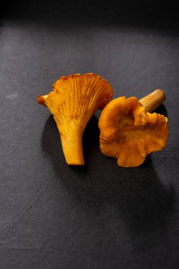 Siyah iki taze chanterelles mantar