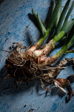 Eski ahşap yüzeyde soğan kökleri