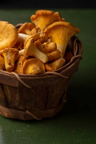 Fresh chanterelles mushrooms in basket — Stock Photo, Image