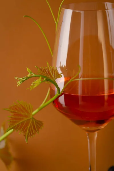 Одна винна склянка і виноградна гілка — стокове фото