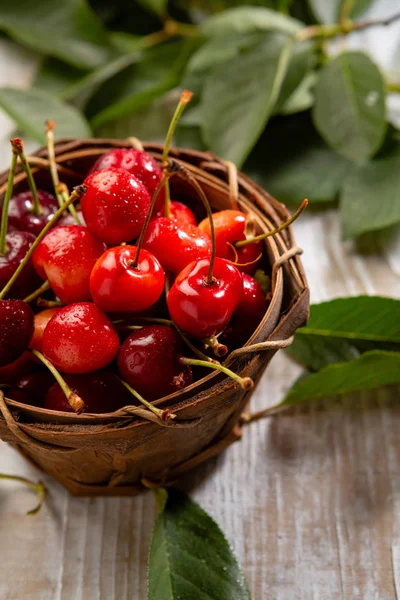 Fresh cherry in small basket — Stock Photo, Image