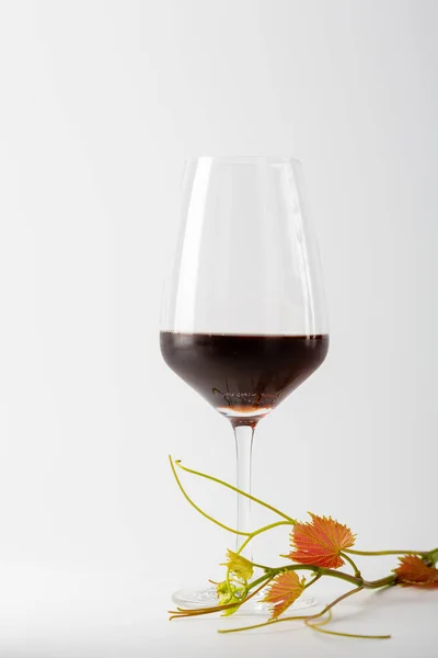 Один келих вина на білому тлі — стокове фото