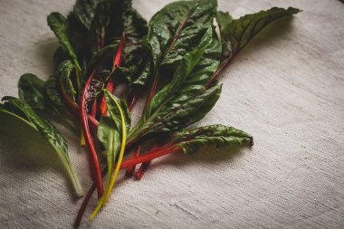 Taze swiss pazı yaprağı