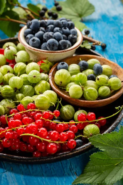 Yaz böğürtlen yakın çekim taze hasat — Stok fotoğraf