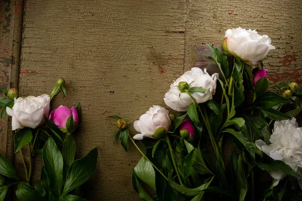 Frische Pfingstrosenblüten auf hölzernem Hintergrund — Stockfoto