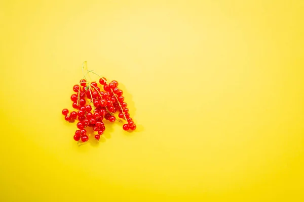 Sommer Beere rote Johannisbeeren von oben — Stockfoto