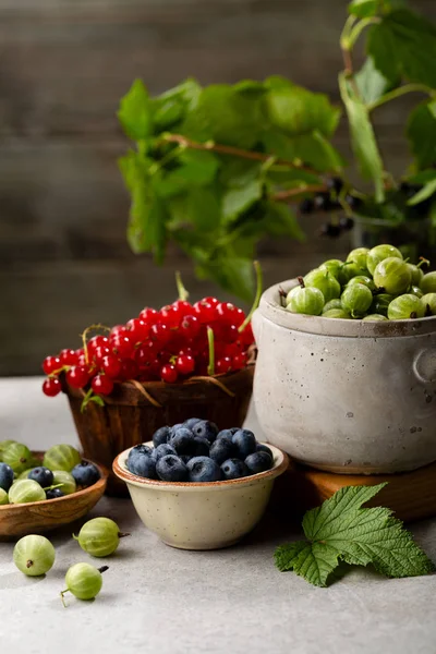 Lokala sommar bär i skålar — Stockfoto