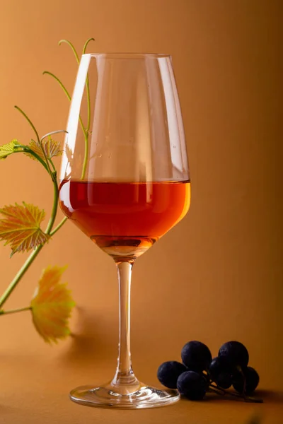 Copa de vino y rama de uvas azules — Foto de Stock