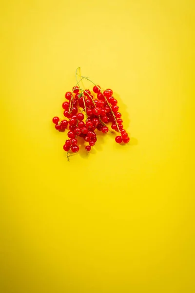 Sommer Beere rote Johannisbeeren Draufsicht auf gelbem Hintergrund — Stockfoto
