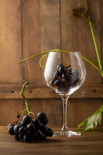 Copa de vino llena de uvas, concepto de vino — Foto de Stock