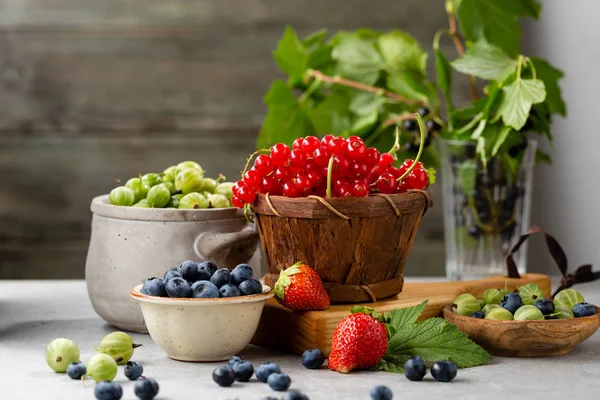 Świeże letnie jagody kolekcja, zdrowe jedzenie — Zdjęcie stockowe
