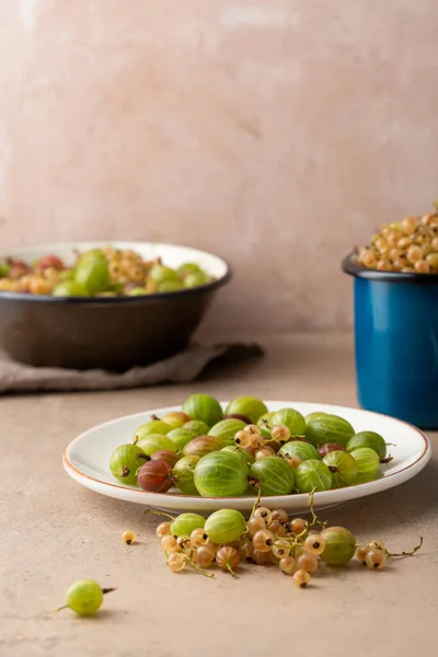 Frische Bio Sommerbeeren Hautnah Auf Dem Teller — Stockfoto