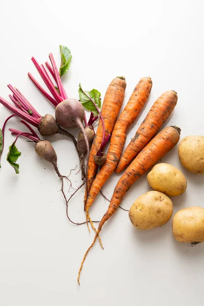 Autumn Vegetables Roots Light Surface — Stock Photo, Image