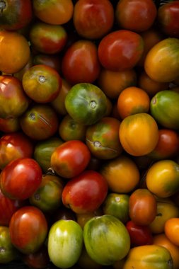 Hasat edilen domateslerin en üst görüntüsü yeşil ve kırmızı gıda arka planı