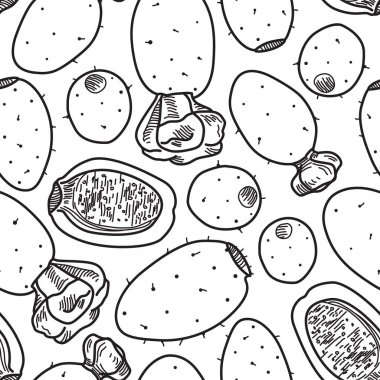 İnciri veya Opuntia meyve kaktüs bitki satır Dikişsiz desen beyaz arka plan üzerinde