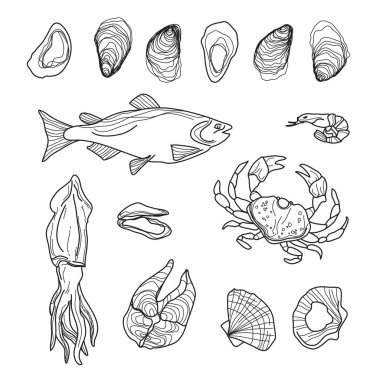 El deniz ürünleri toplama beyaz çekilmiş. Balık, yengeç, kalamar, istiridye, karides, midye, somon