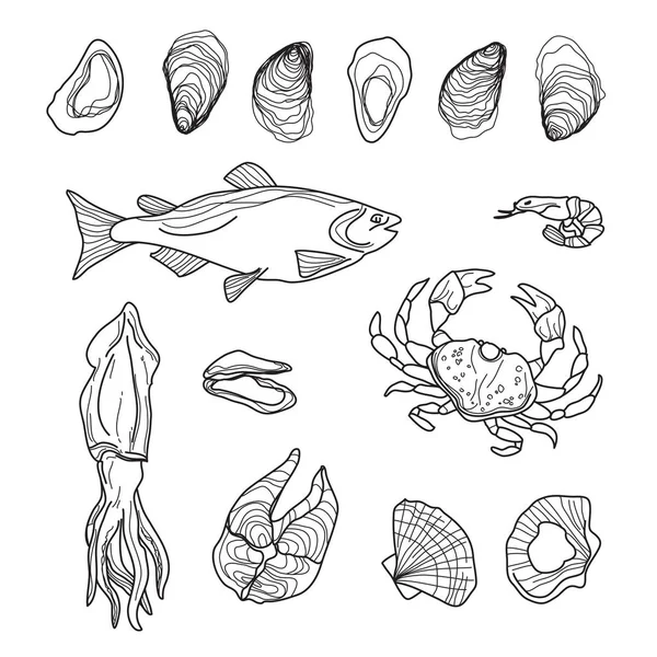 Ręcznie Rysowane Kolekcji Owoce Białym Ryb Krabów Squid Ostrygi Krewetki — Wektor stockowy