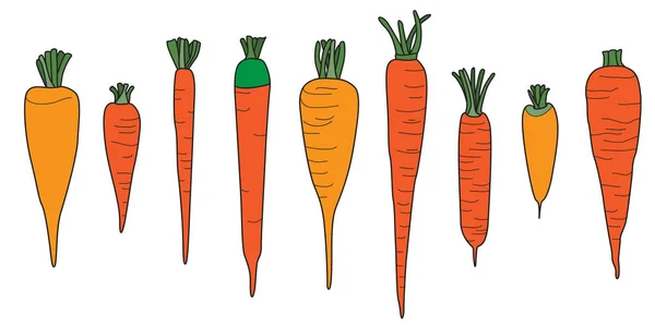 Orange Carrot Vector Drawing Seamless Border White — Stock Vector