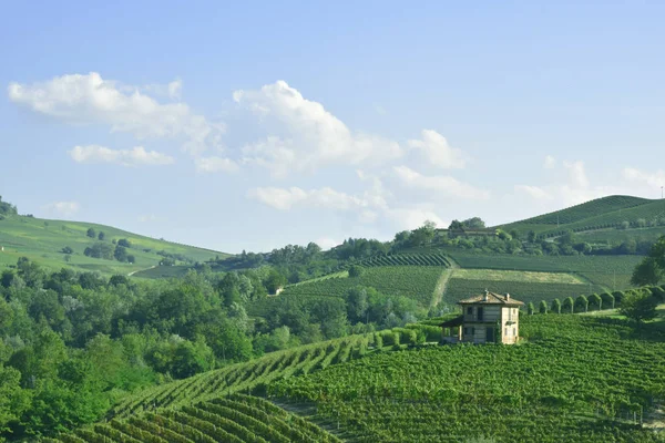 Langhe Piemonte Itália Panorama — Fotografia de Stock