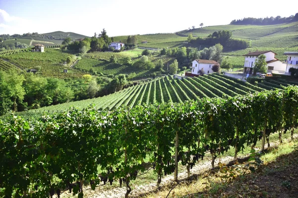 Langhe Piemonte Italia Panorama — Foto Stock