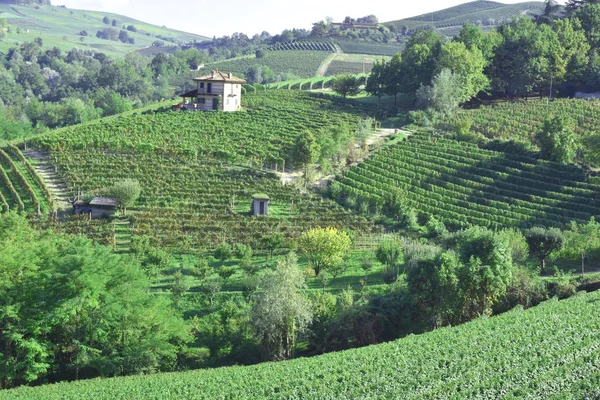 Langhe Piamonte Italia Panorama — Foto de Stock