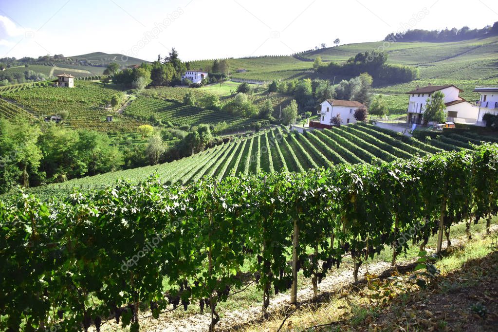 Langhe, Piedmont, Italy panorama.