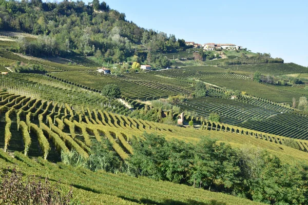 Langhe Viñedos Panorama Langhe Son Famosos Por Producción Vino Italiano — Foto de Stock