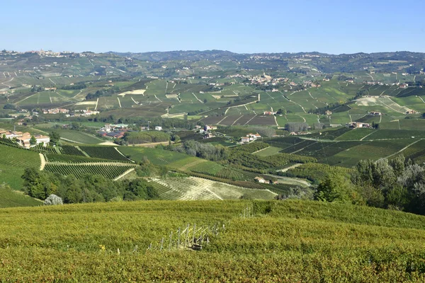 Langhe Weinberge Panorama Langhe Sind Berühmt Für Italienische Weinprodukte Piemont — Stockfoto